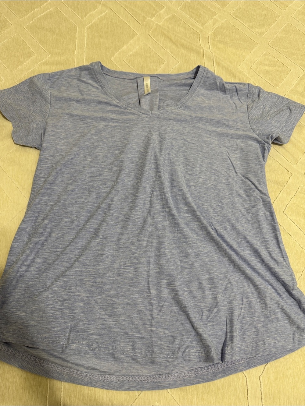 Light Blue Women's V-Neck Tee